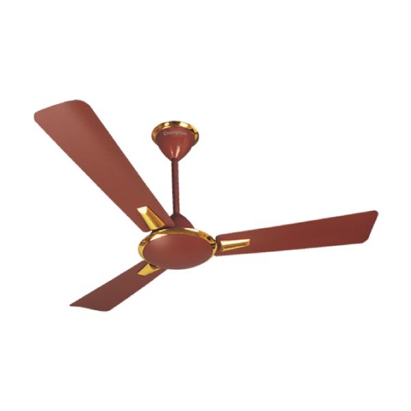 Crompton Aura Brown Fan